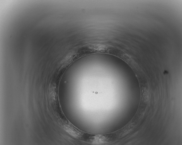 X0000080150612200612151832