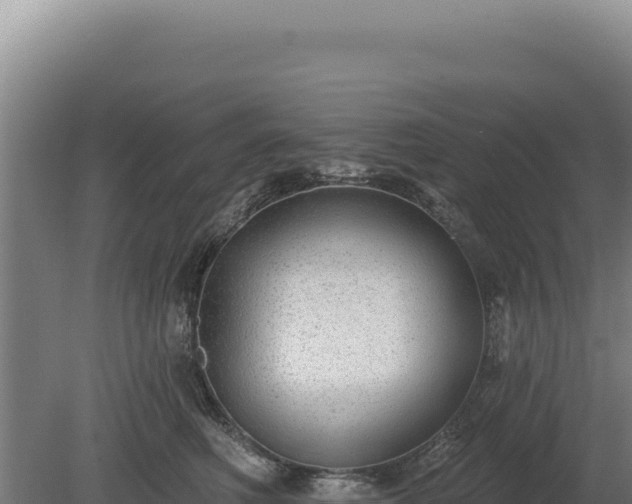 X0000080150614200612151832