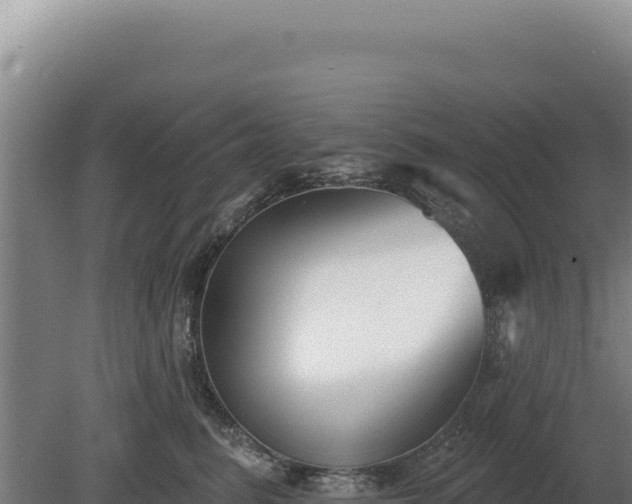 X0000080150615200612151832