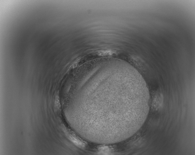 X0000080150616200612151832