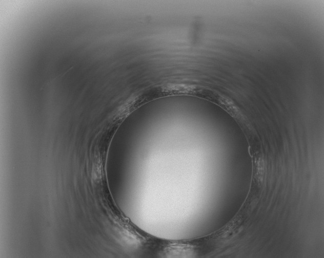 X0000080150617200612151832