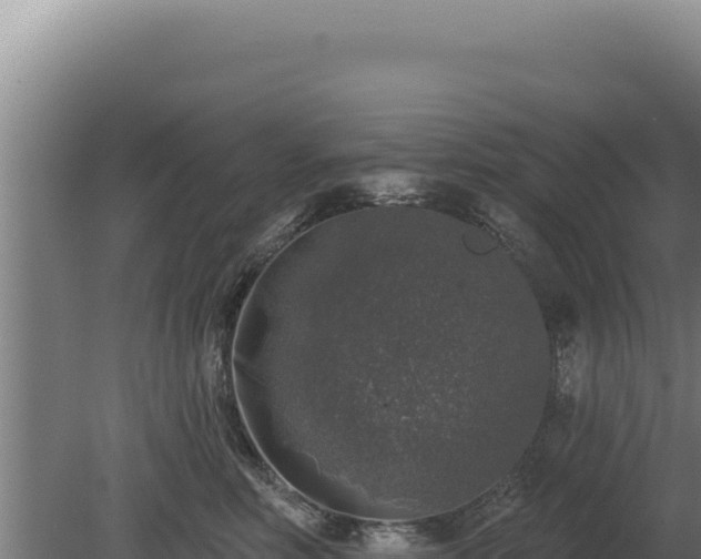 X0000080150618200612151832