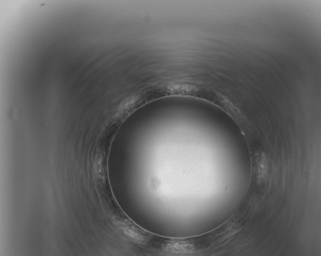 X0000080150619200612151832