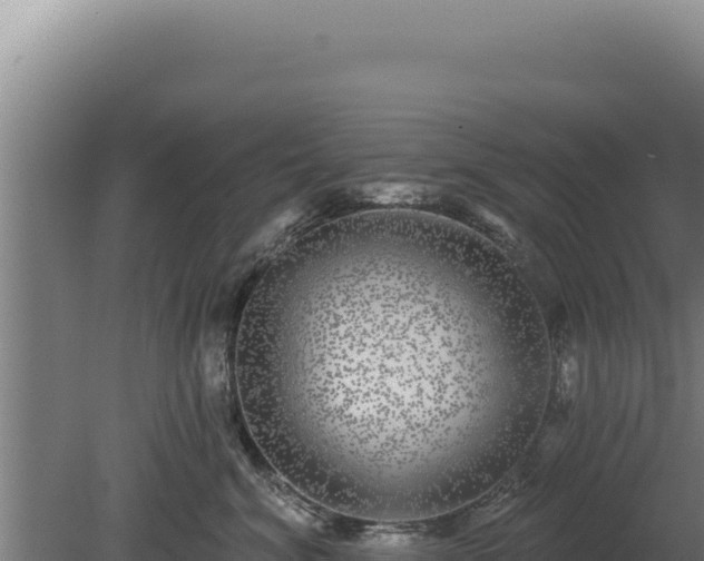 X0000080150620200612151832