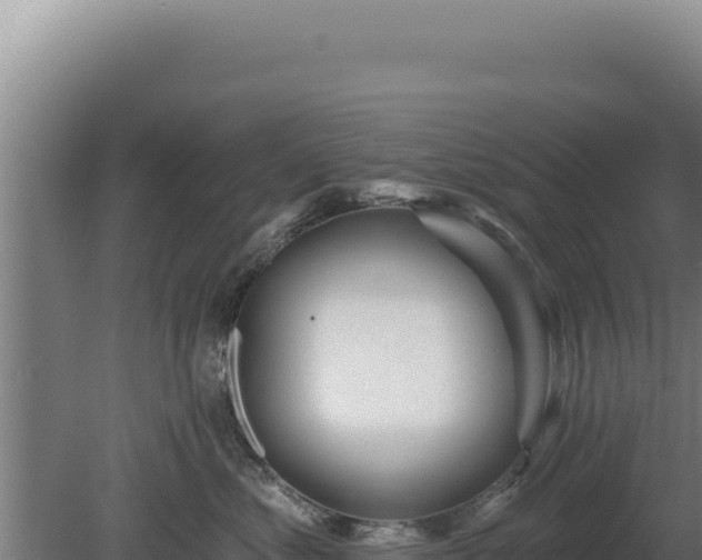 X0000080150621200612151832