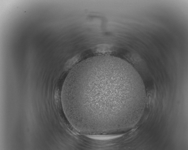 X0000080150623200612151832