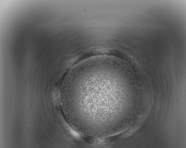 X0000080150624200612151832