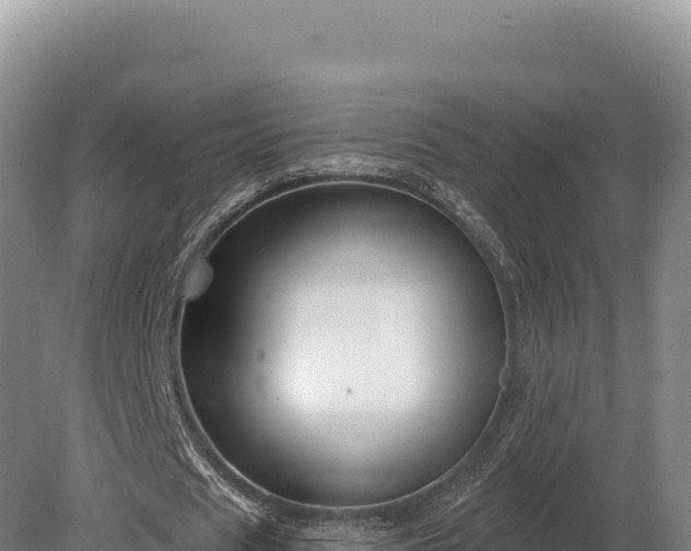 X0000080150625200612151831