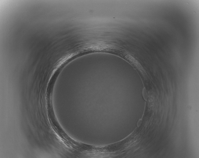 X0000080150626200612151831