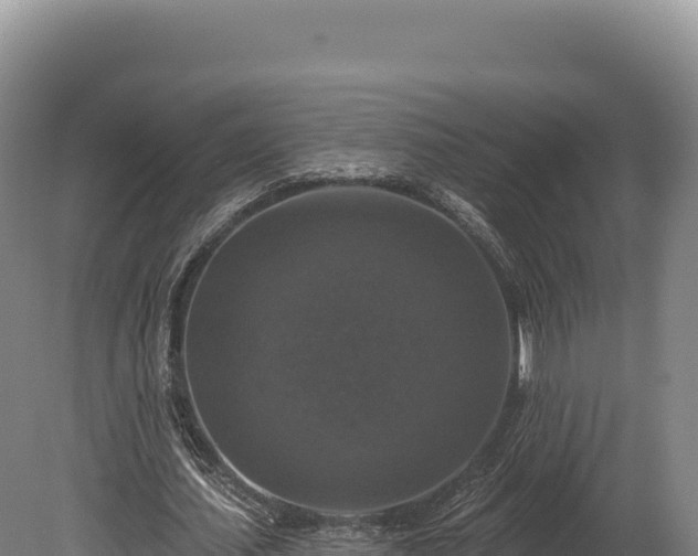 X0000080150627200612151831