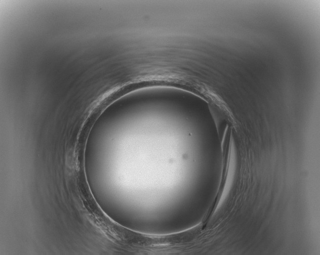 X0000080150628200612151831