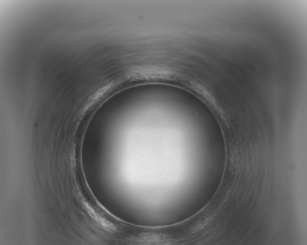 X0000080150629200612151831