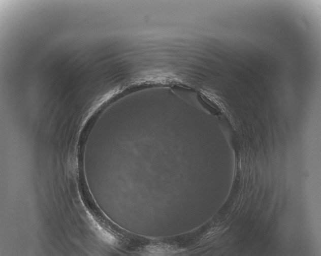 X0000080150630200612151831