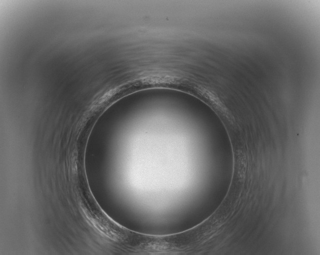 X0000080150631200612151831