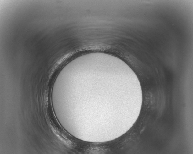 X0000080150632200612151831