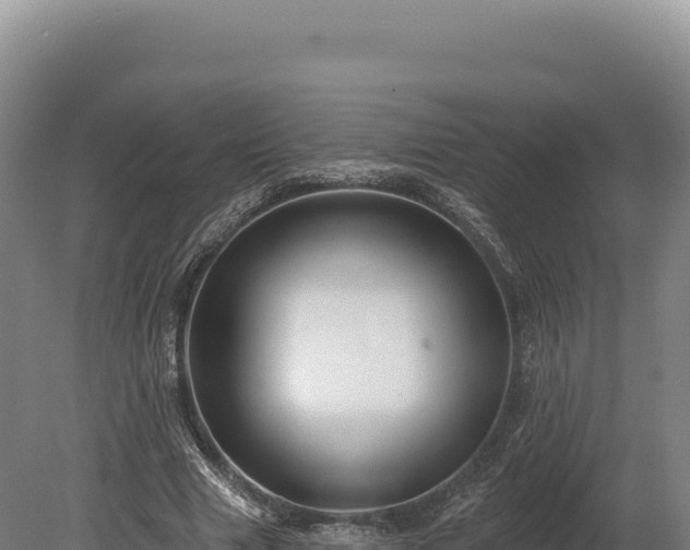 X0000080150633200612151831