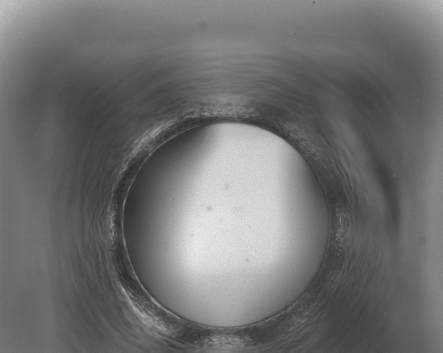 X0000080150636200612151831