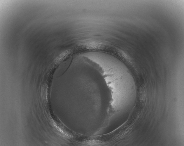 X0000080150637200612151831