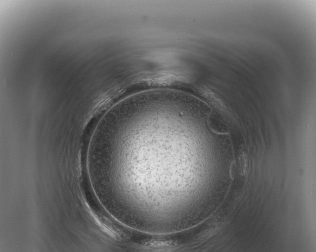 X0000080150638200612151831