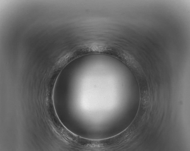 X0000080150639200612151831