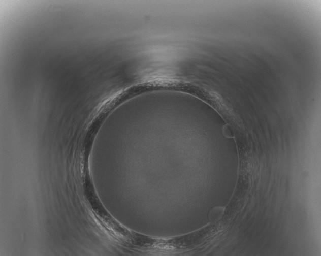 X0000080150640200612151831