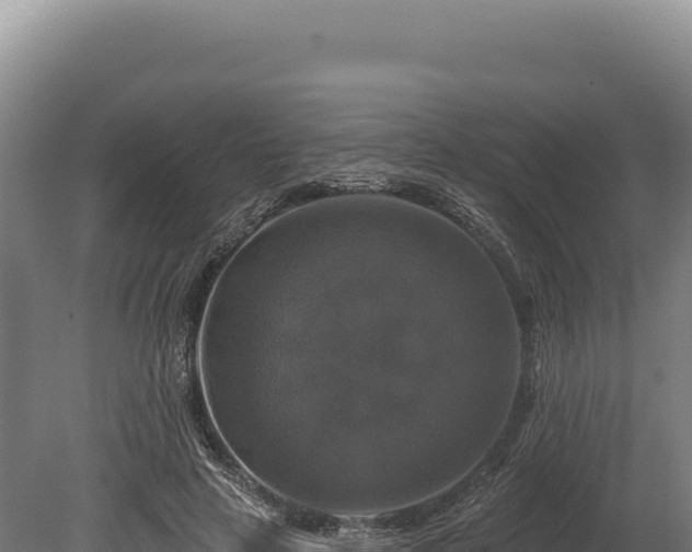 X0000080150641200612151831