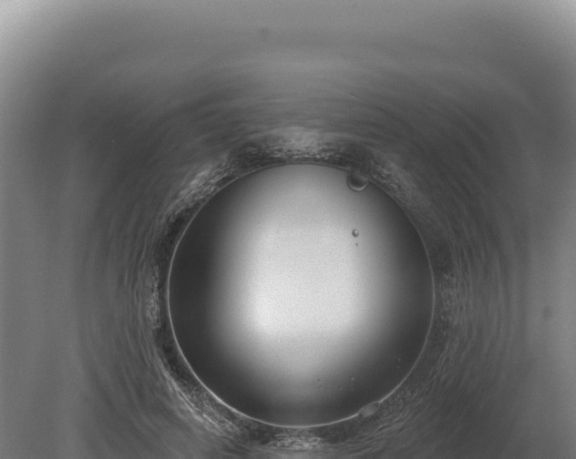 X0000080150642200612151831