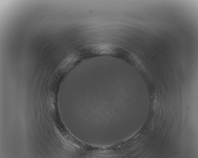 X0000080150643200612151831