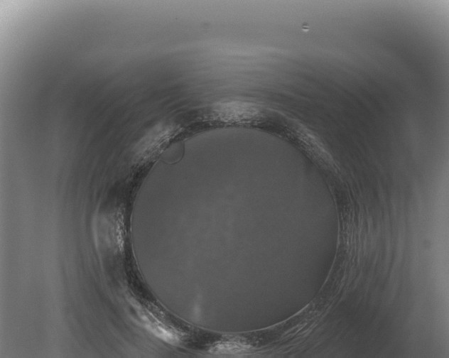 X0000080150644200612151831