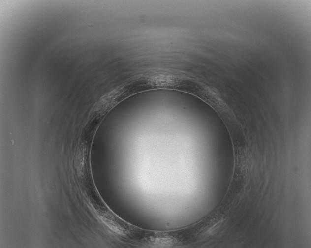 X0000080150645200612151831