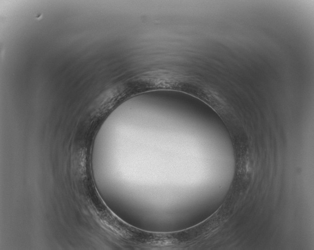 X0000080150646200612151831