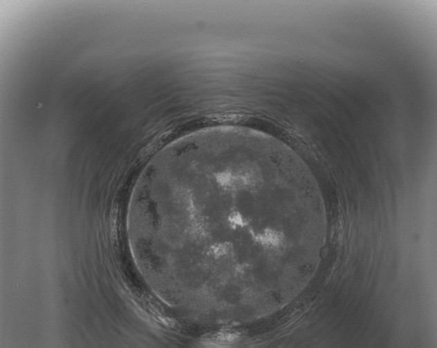 X0000080150647200612151831