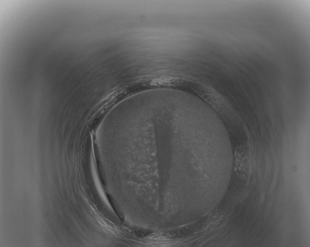 X0000080150648200612151831