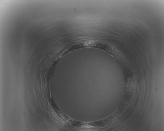 X0000080150650200612151831