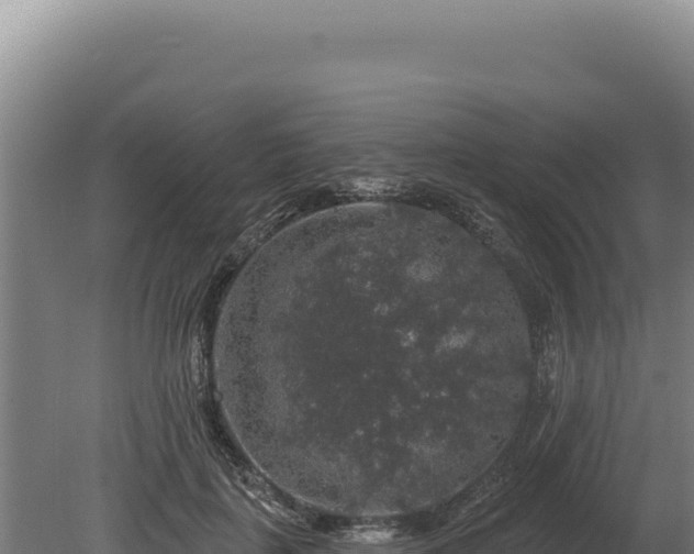 X0000080150651200612151831