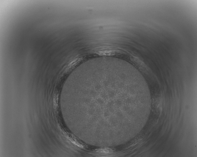 X0000080150652200612151831