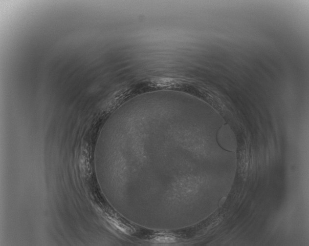 X0000080150653200612151831