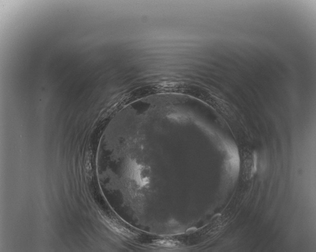 X0000080150654200612151831