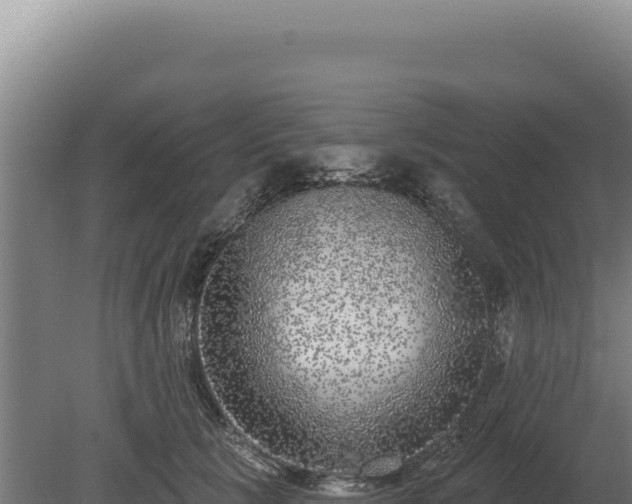 X0000080150657200612151831