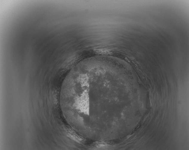 X0000080150658200612151831