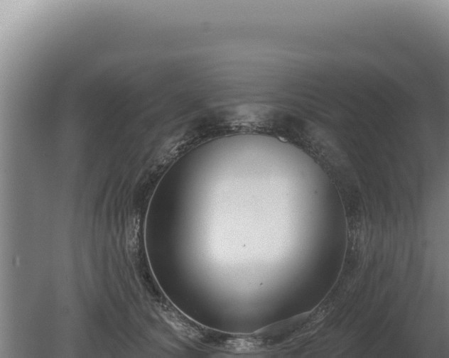 X0000080150660200612151831