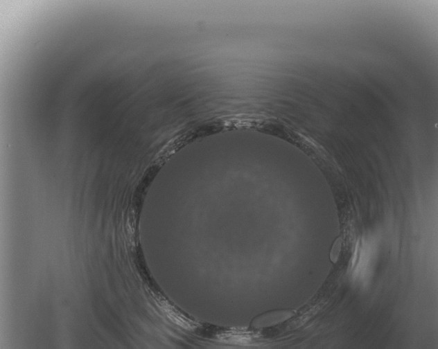 X0000080150661200612151831