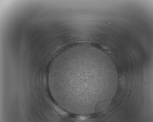 X0000080150662200612151831