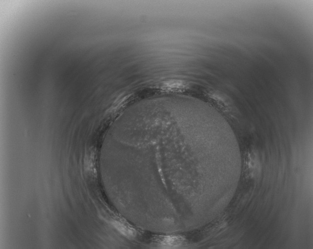 X0000080150663200612151831