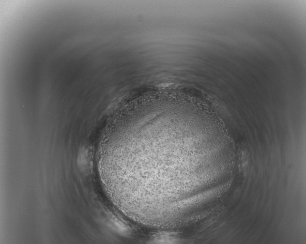 X0000080150664200612151831