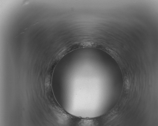 X0000080150665200612151831