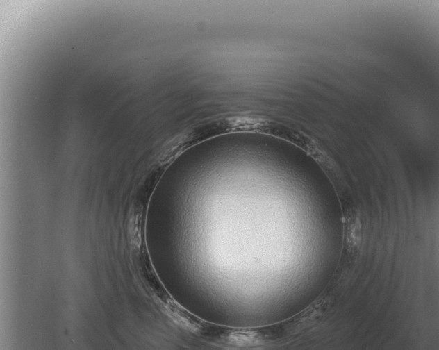 X0000080150666200612151831