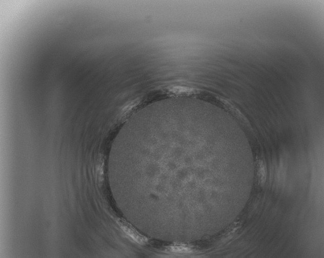 X0000080150668200612151831