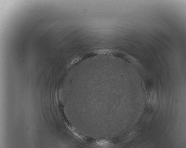 X0000080150669200612151832