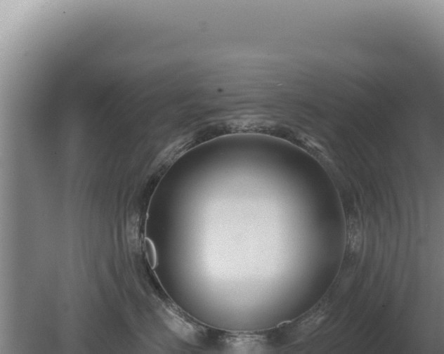 X0000080150670200612151832